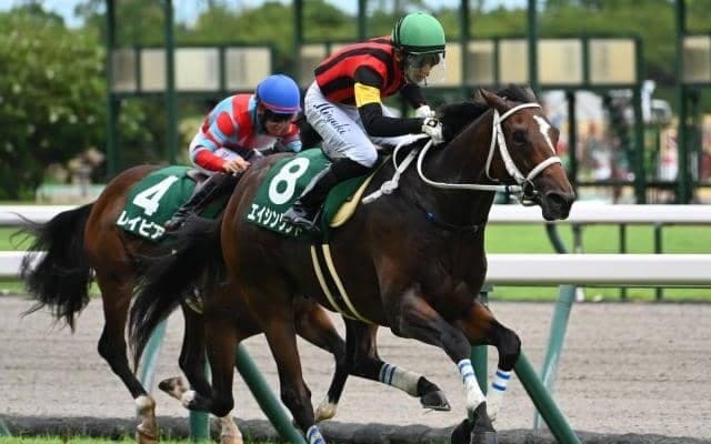 “最適条件”の小倉2歳S制したエイシンワンド 血統背景から息の長い活躍も期待大