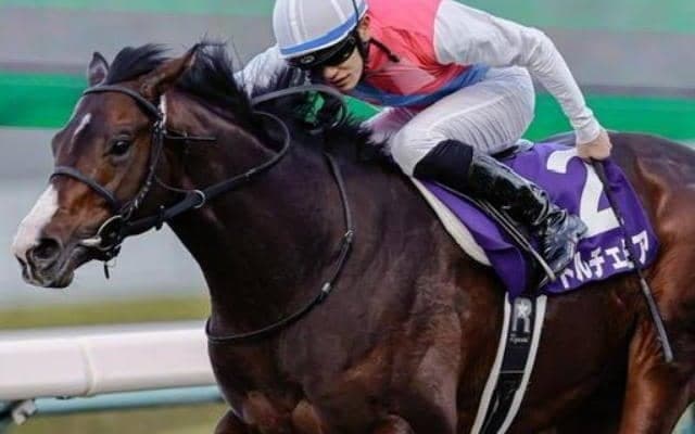 22年最優秀2歳牡馬が連敗ストップへ 勢いに乗る北村友一騎手と初コンビで京成杯AHに挑む