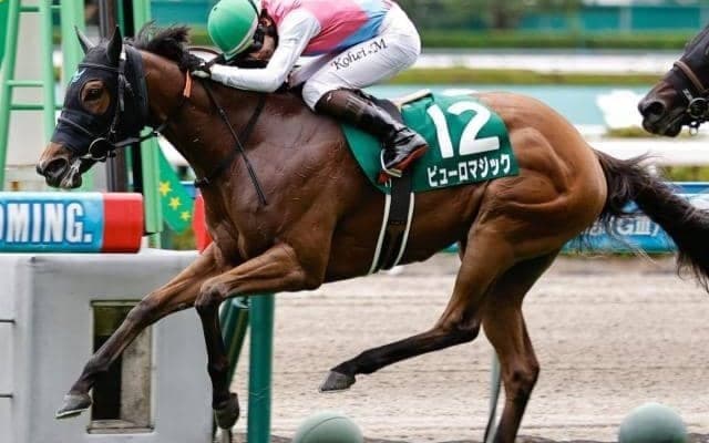 重賞連勝中の3歳牝馬がセントウルSで快挙狙う カレンチャンら名スプリンターに並ぶ記録なるか