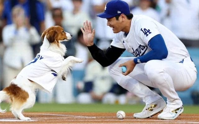 ド軍同僚ベッツ、大谷翔平とデコピンの前代未聞の始球式を激賞「ショウヘイの愛犬なんだ。エリートなのは当然だ」