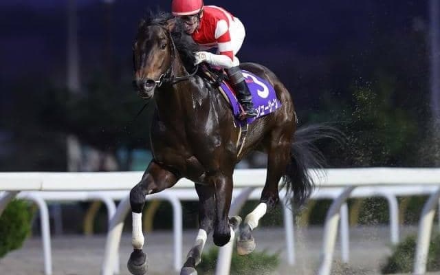 【盛岡・不来方賞注目馬】8戦無敗馬フジユージーンがダートグレード競走に初チャレンジ JRA所属馬も強者揃い