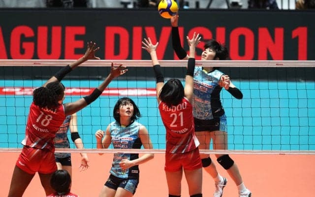 V1女子/2019-20ファイナルは岡山vs.JTに決定