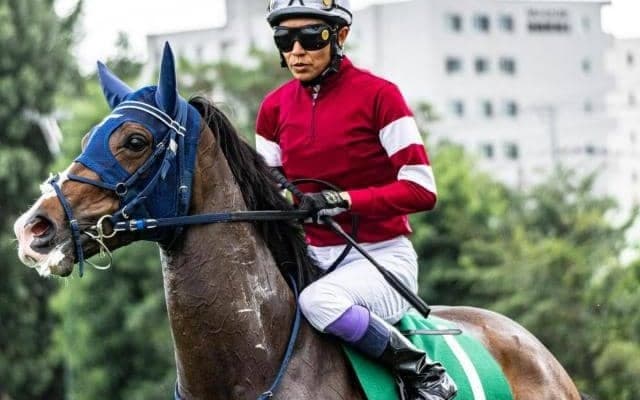 2.1億円ダイワメジャー産駒が惜敗続きにピリオドへ 武豊騎手の手綱で2000mの紫苑Sに挑む