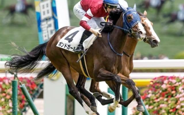 【紫苑S予想オッズ】ボンドガールが予想1番人気