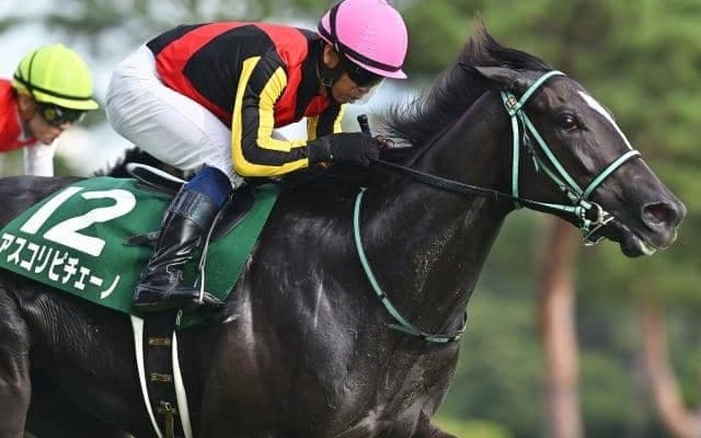 【京成杯AH予想オッズ】アスコリピチェーノが予想1番人気
