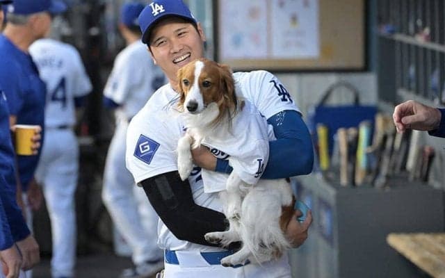 大谷翔平からチラ見えした愛用品…デコピン“グッズ”が品薄に　メーカー実感の異次元人気