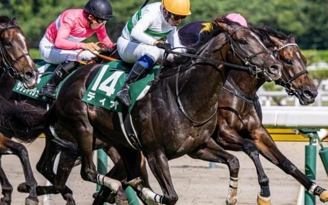 兄は昨年の覇者ソウルラッシュ 京成杯AHで兄弟重賞Vなるか