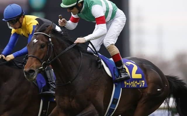 2歳戦開幕から3カ月 新種牡馬リーディングと見えてきた産駒の傾向とは？ 