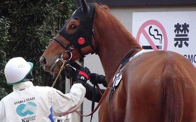 馬体重はなんと620kg!? 史上最重量牝馬が“稀有”な記録を達成