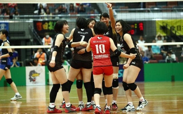 NECが[VTVカップ2019]に出場