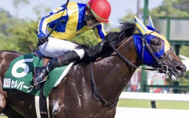 武豊騎手が15年ぶりに京成杯AH参戦 4回目の挑戦で初制覇なるか