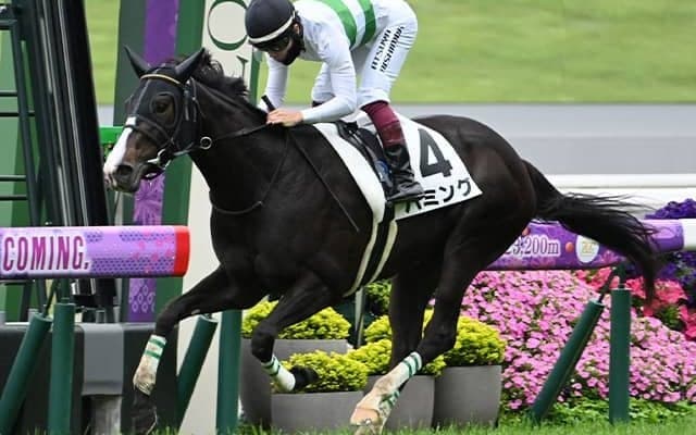 菊花賞馬キセキの妹が紫苑Sでタイトル狙う きょうだい3頭目の重賞ウイナーとなるか