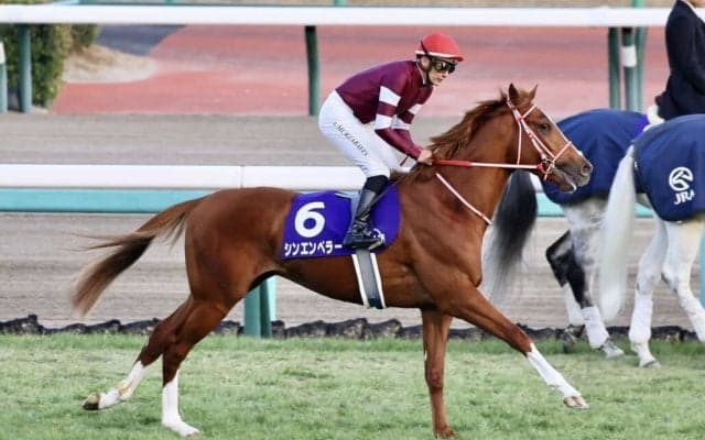 【愛チャンピオンS】C.デムーロ「ソットサスに似ている部分ある」シンエンペラー出走