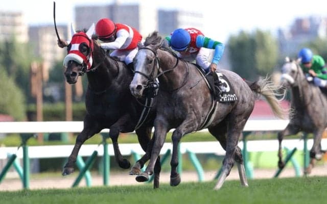 2024コーフィールドカップ、コックスプレート、メルボルンカップ（G1）に日本馬が予備登録