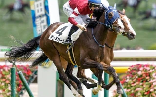 【紫苑S出走馬・騎手確定】ボンドガール＆武豊騎手、エラトー＆横山和生騎手など13頭