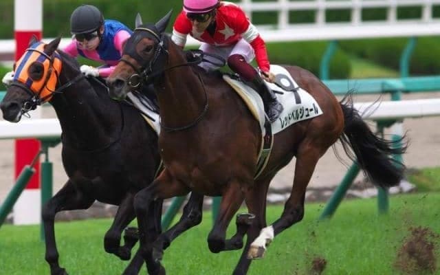 無念の早期引退となった父に産駒JRA初勝利を届けるか タガノアンファンが初陣