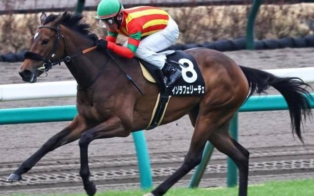 兄妹GI制覇の夢達成へ エフフォーリアの半妹が紫苑Sで秋華賞優先出走権獲得を狙う
