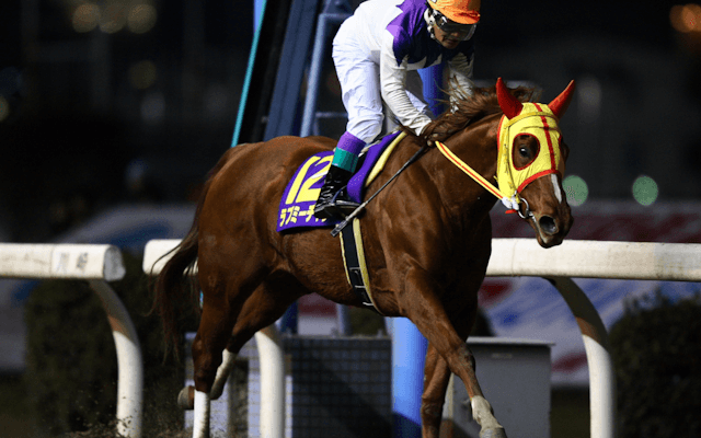 笠松競馬場内にラブミーチャンの献花台・記帳台を設置 開催後半には追悼競走も実施
