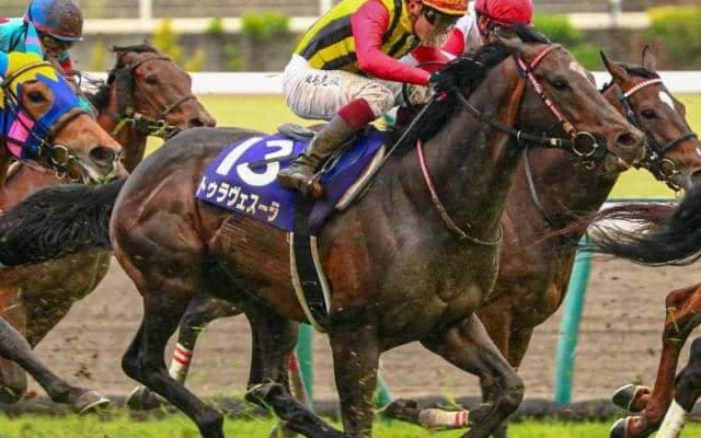 【セントウルS】9歳の大ベテラン・トゥラヴェスーラ 7年ぶりの快挙なるか