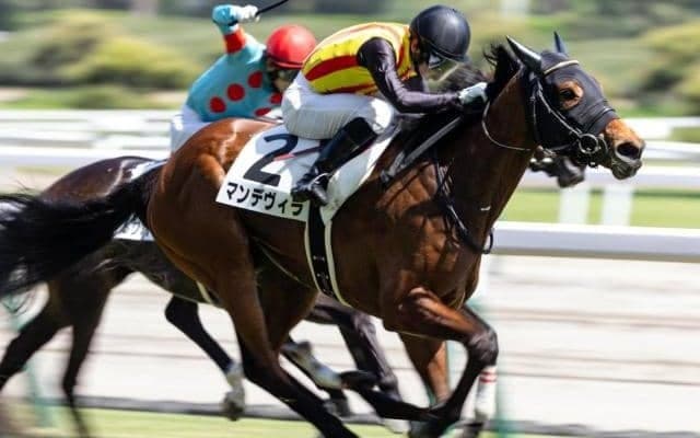 福永祐一調教師が騎手時代GI制覇のワールドプレミア半妹 惜敗続きにピリオド打つか