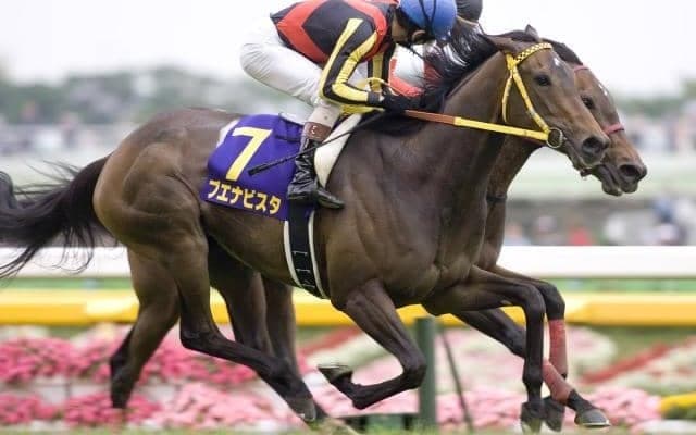 9月6日は「黒の日」 “黒鹿毛”のJRA獲得賞金ランキングTOP5は？