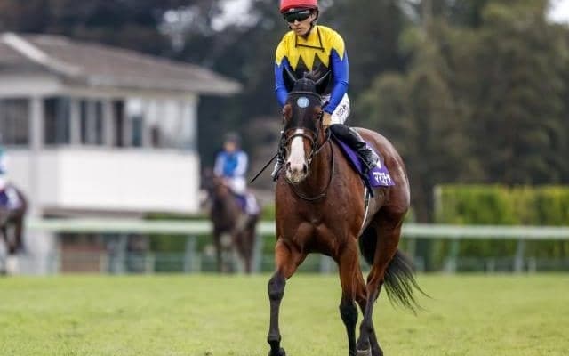 【セントウルS枠順確定】ママコチャは8枠18番、ピューロマジックは7枠13番