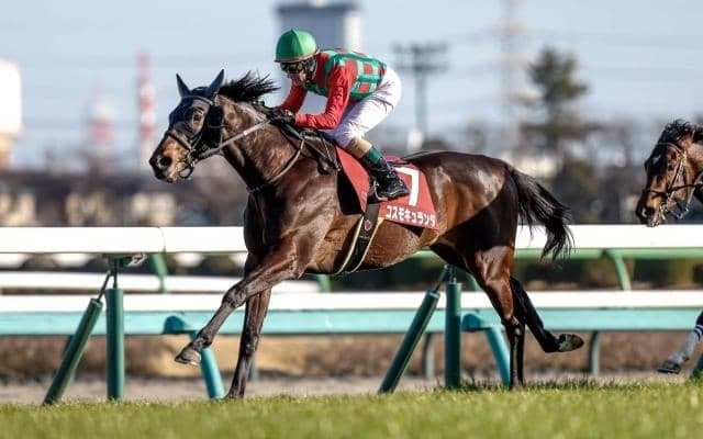 【セントライト記念想定馬・騎手】コスモキュランダ、ヤマニンアドホックなど14頭