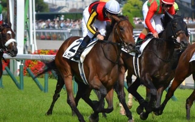【ローズS想定馬・騎手】レガレイラ、クイーンズウォークなど16頭