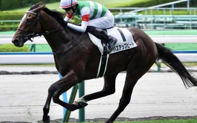 エピファネイア産駒の大器 川田騎手とのタッグで確勝期す