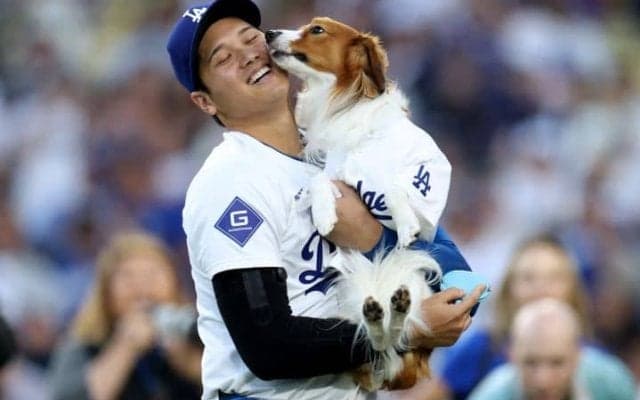 大谷翔平の愛犬デコピンが「可愛さのグランドスラム」MLB公式Xに“異例”のトップ固定で「夢のよう」「いい子だね！」