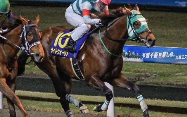 川崎記念覇者の半弟が中山でデビュー コリアカップ出走の兄に勢い届ける勝利なるか