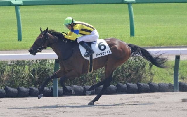 【中山3R】ナダル産駒 パースウェイドが3馬身半差完勝