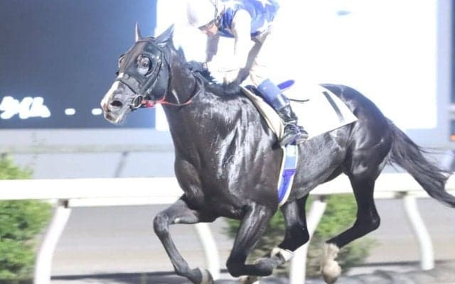 【高知競馬】林謙佑騎手 地方競馬通算500勝達成