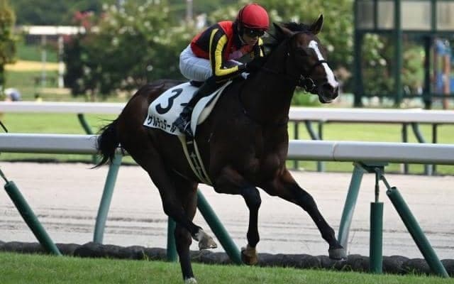 【中京5R新馬戦結果】ブリックスアンドモルタル産駒ゲルチュタールが抜け出し快勝