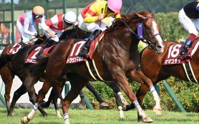 【セントウルS結果】トウシンマカオが豪快差し切りV！ スプリント重賞4勝目