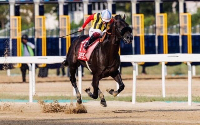 【コリアカップ】クラウンプライドが5馬身差圧勝で連覇…日本勢ワンツー