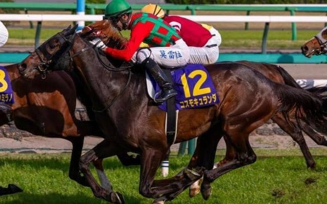 3日間開催に菊花賞TRセントライト記念と秋華賞TRローズS/今週の競馬界の見どころ