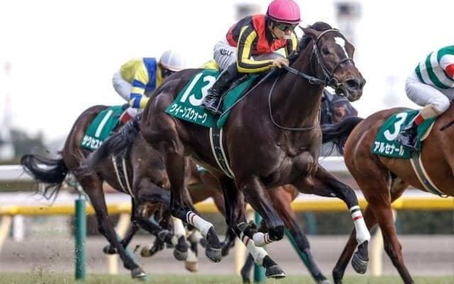 【ローズS見どころ】将来有望な良血馬クイーンズウォークが復帰戦を勝利だ