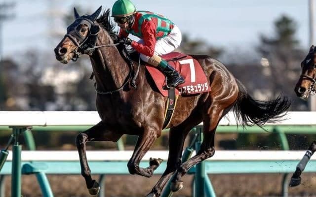 【セントライト記念見どころ】実績上位のコスモキュランダが復帰戦を勝利で飾る