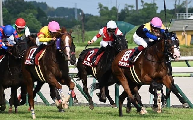 【セントウルS】売上は63億3930万3700円で昨年より約3億円増加