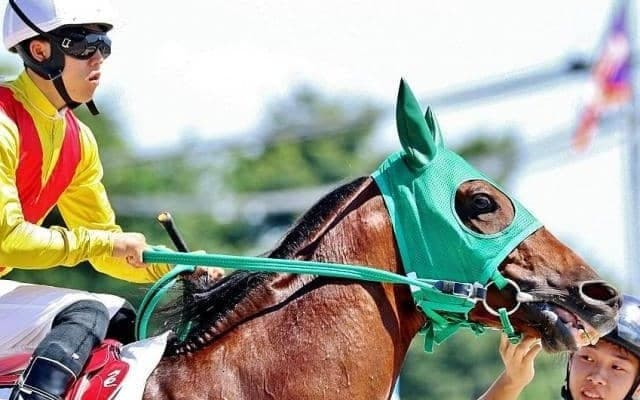 SNS等で話題のハルオーブ 通算29戦目で初白星