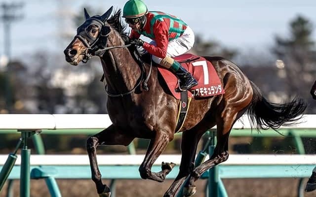 【セントライト記念想定騎手】コスモキュランダはM.デムーロ騎手、アーバンシックはC.ルメール騎手