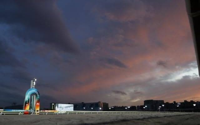 アレンパが大井で“アレ”達成 馬名の意味は「あれと連覇の組み合わせ」