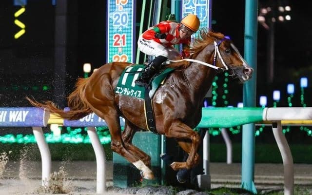 【大井・アフター5スター賞枠順】重賞連勝狙うエンテレケイアは3枠3番