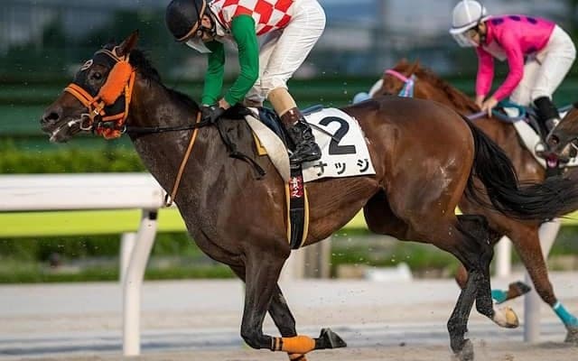 【大井・東京記念枠順】ひさびさの重賞制覇狙うナッジは1枠1番