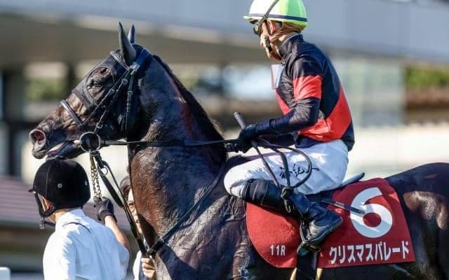 イクイノックスの元担当者も大絶賛のクリスマスパレード 成長力にも長けた血統背景で更なる飛躍へ