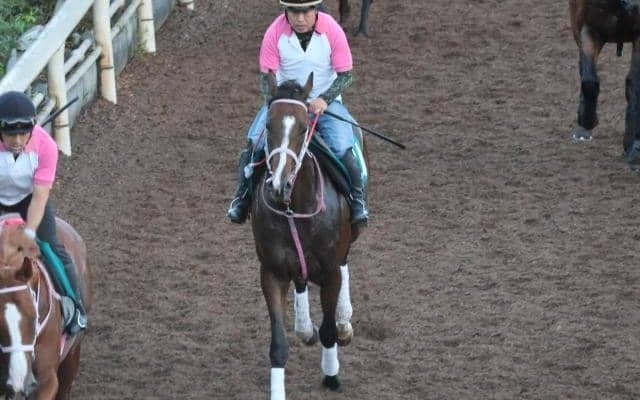 マラコスタムブラダの2022(エスタンシア)など、先週の入厩情報/栗東トレセンニュース