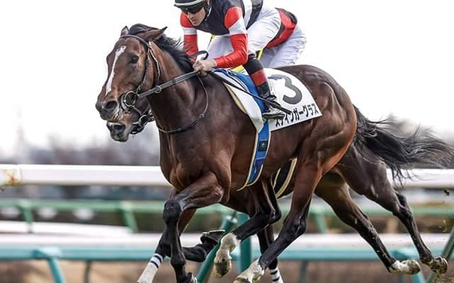 武豊騎手史上初の偉業達成なるか クラシックトライアル完全制覇へ14年ぶりのセントライト記念参戦