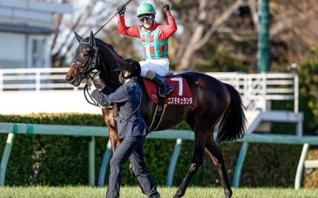 【セントライト記念予想オッズ】コスモキュランダが予想1番人気