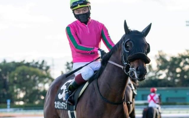 【阪神JS予想オッズ】オメガリッチマンが予想1番人気